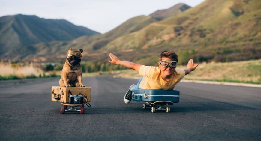 Consejos para viajar con tu perro en vacaciones